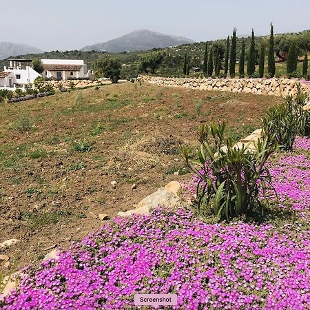 Finca Zayas Casa Rural & Guest Suites Periana Екстериор снимка
