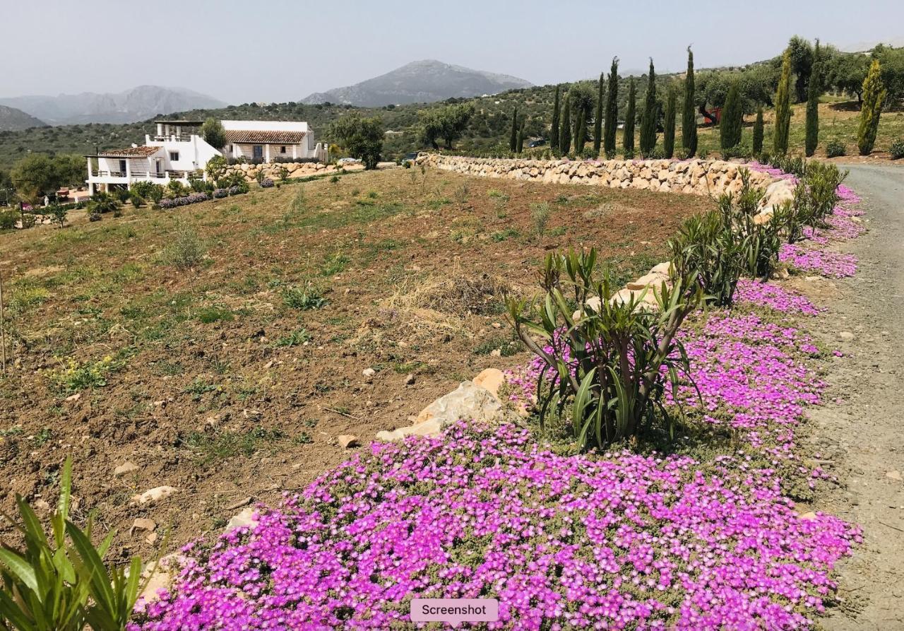 Finca Zayas Casa Rural & Guest Suites Periana Екстериор снимка