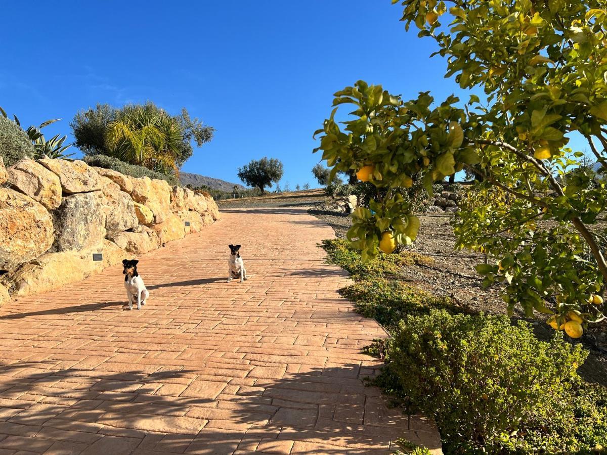 Finca Zayas Casa Rural & Guest Suites Periana Екстериор снимка