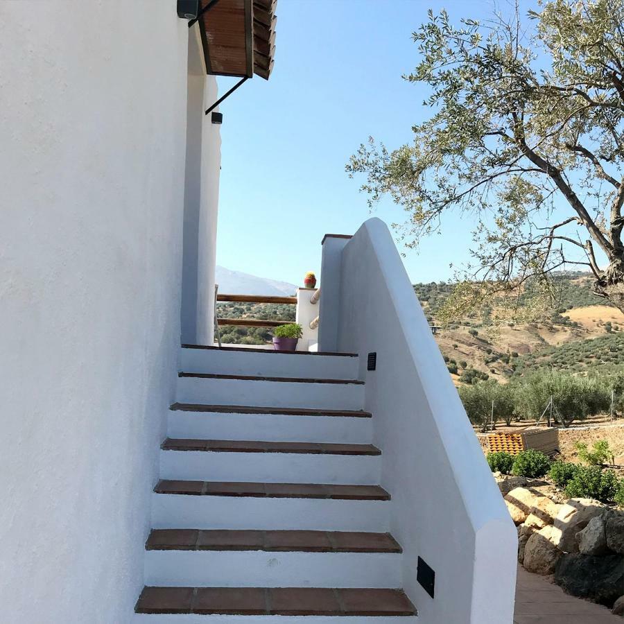 Finca Zayas Casa Rural & Guest Suites Periana Екстериор снимка